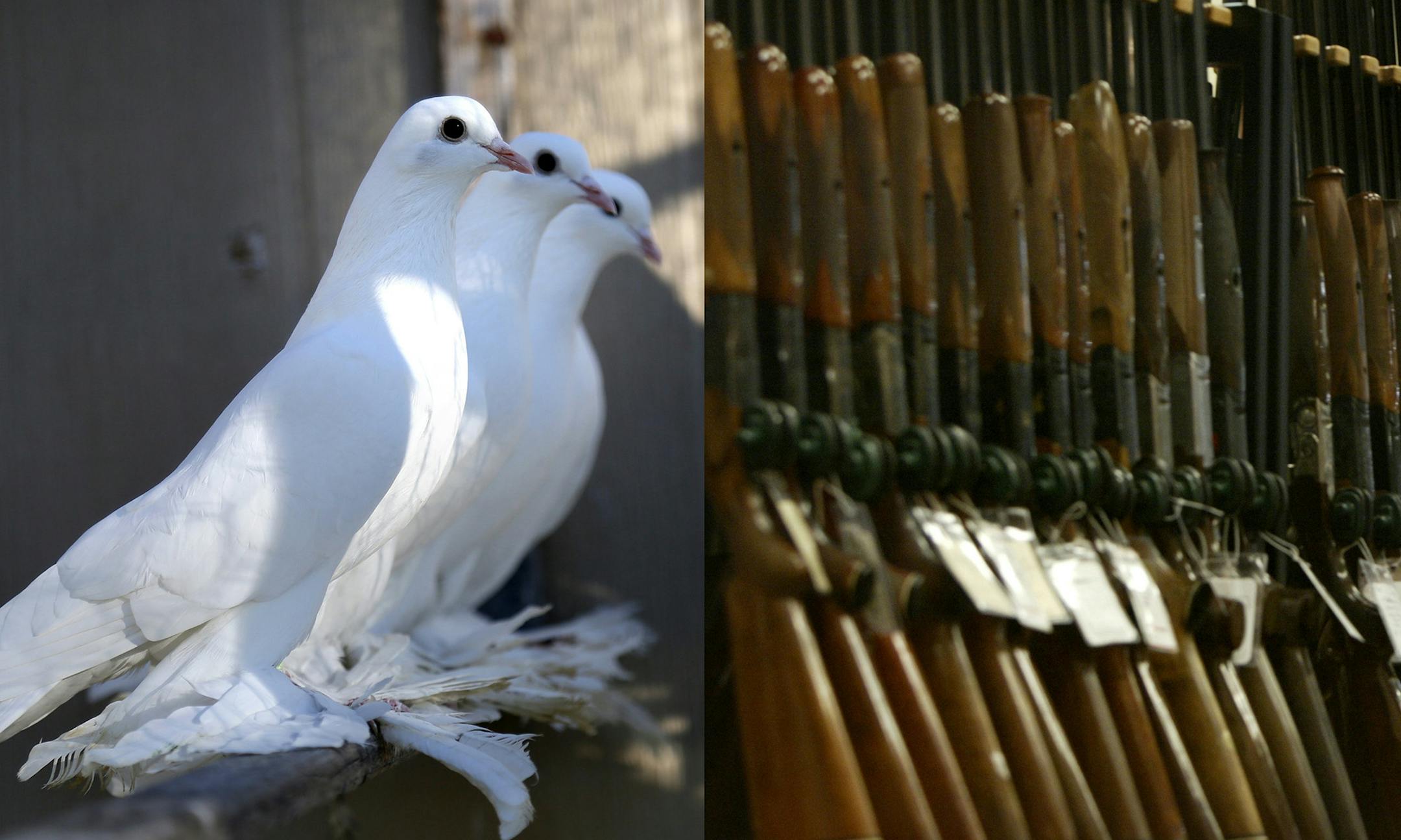 Star Tribune file photos ORG XMIT: MIN1311131620340684