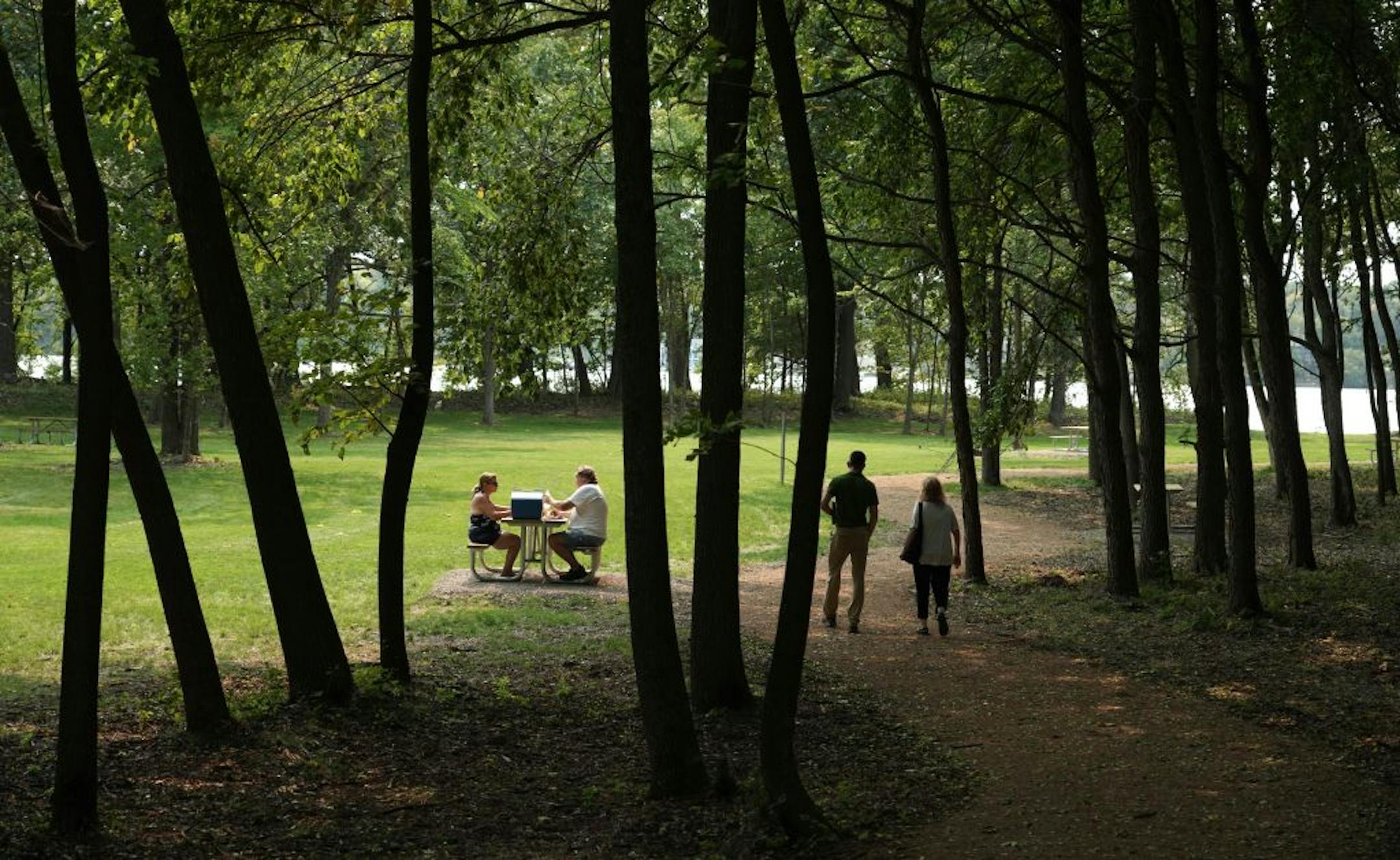 A park on Coney Island in Lake Waconia, site of a popular resort 100 years ago and home to indigenous people as many as 2,000 years ago, is now open to the public, with trails and picnic areas. brian.peterson@startribune.com Waconia, MN Tuesday, September 15, 2020