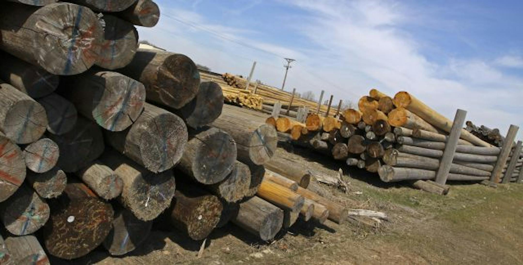 Utility poles stacked at the Bell Lumber & Pole Co. in New Brighton have been treated with a chemical that has many complaining.