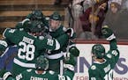 Bemidji State, along with Minnesota State, will join the new CCHA in 2021-22.