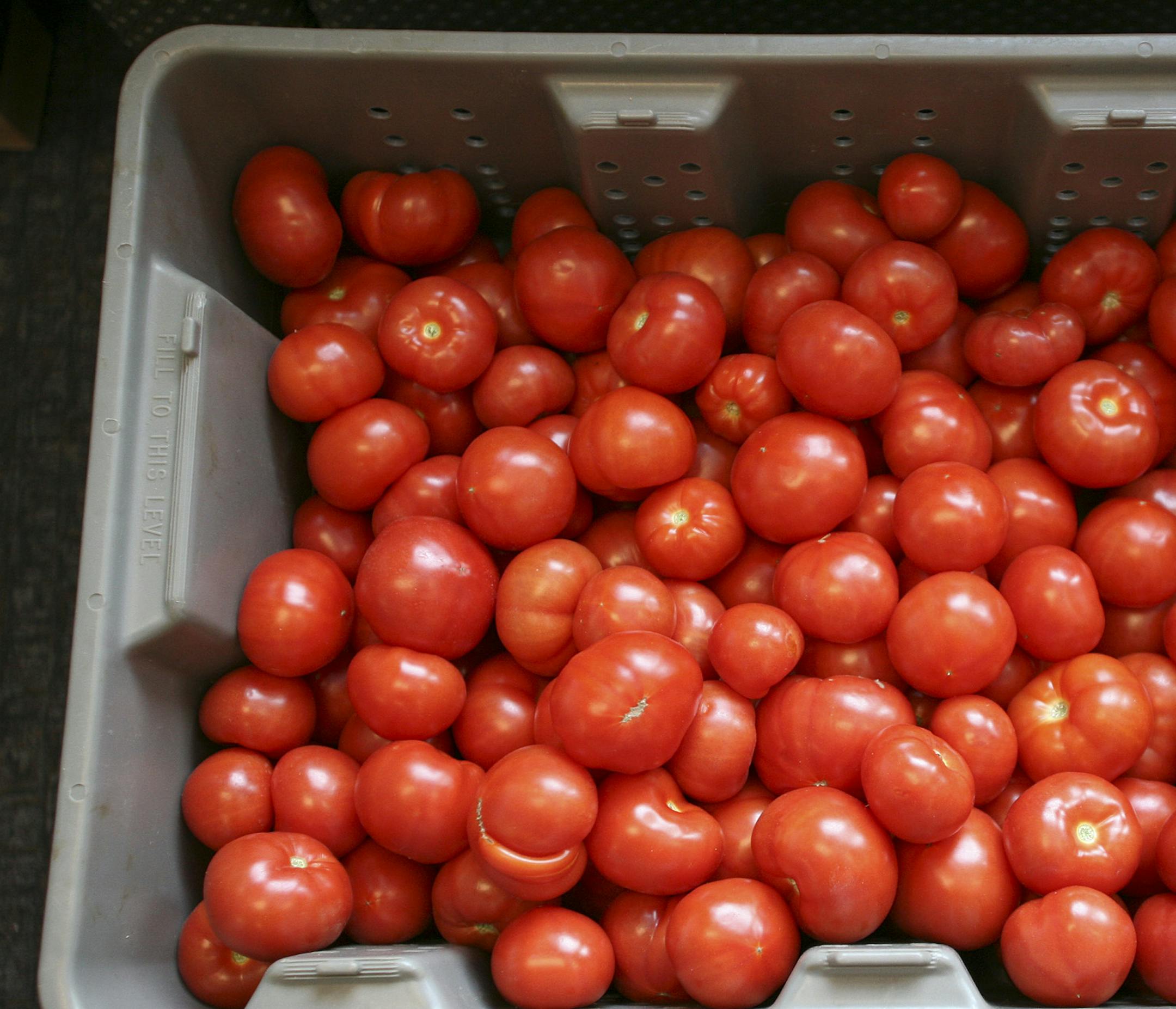 JENNIFER SIMONSON ¬• jsimonson@startribune.com Maple Grove, MN-Feb. 1, 2007 Hydroponic tomatoes from J&R Growers in Cushing, Wis. GENERAL INFORMATION: Maple Grove Farmers Market, one of the very few open in these winter months. There are about 15 vendors. ORG XMIT: MIN2013041510410124