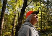 Martha Minchak, a retired Minnesota Department of Natural Resources wildlife manager, walked through a diverse hardwoods stand that she helped manage 