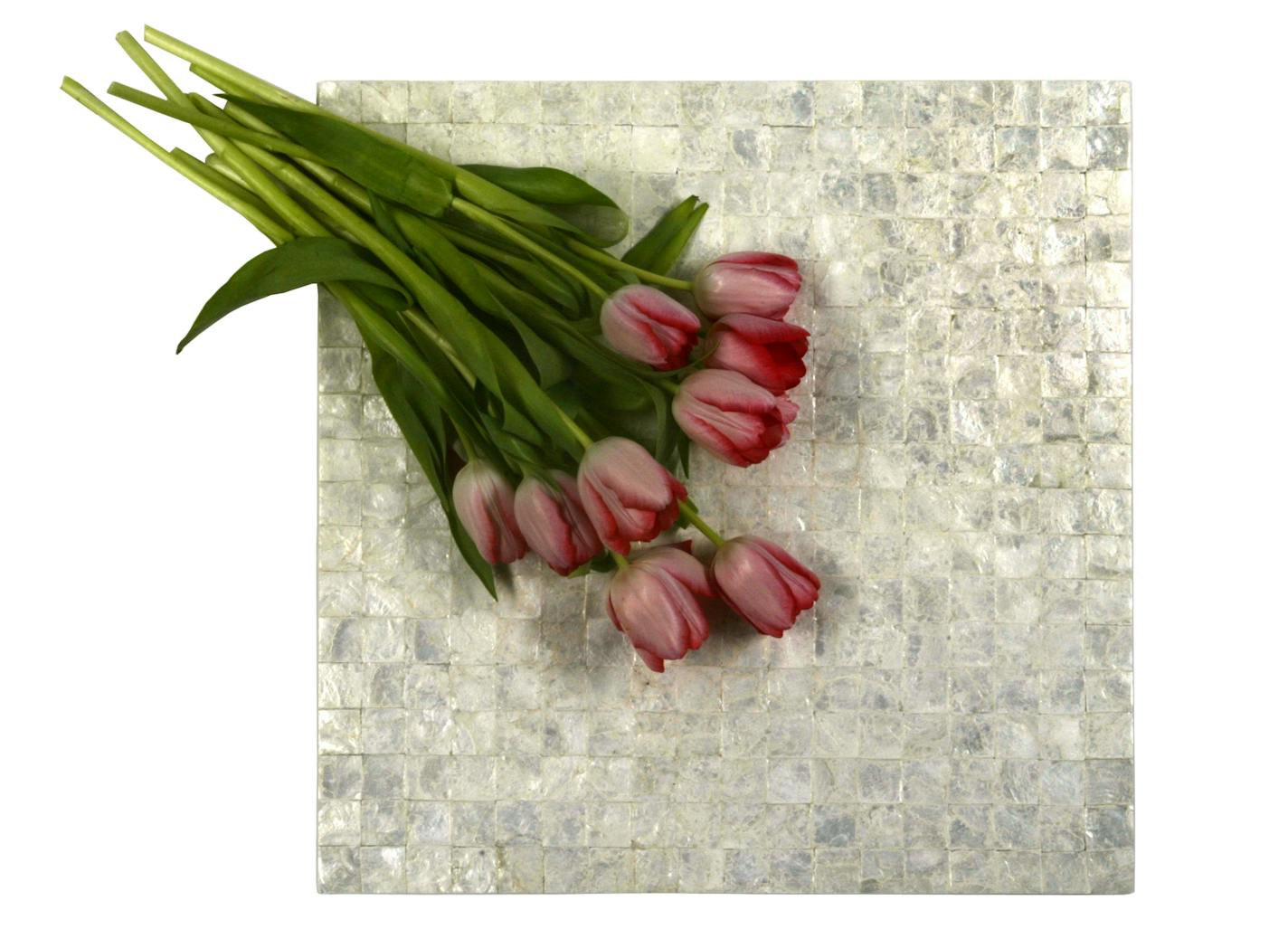 Maya Romanoff's natural shell mosaic tile