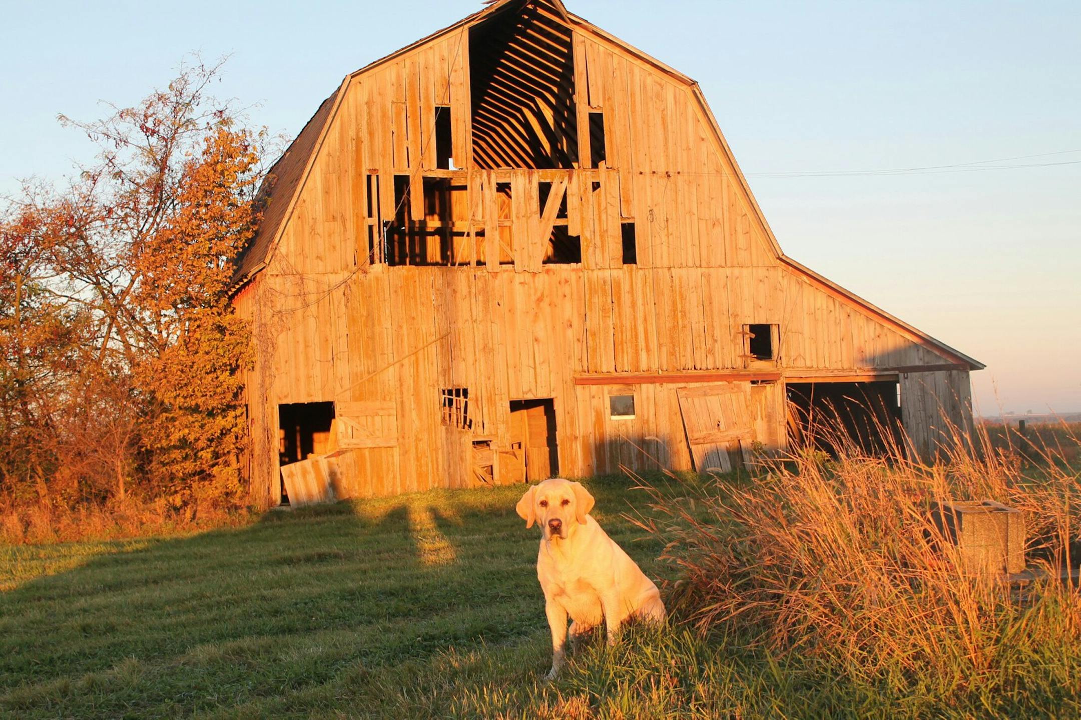 Jeff Dooley wants to restore the old barn on his grandfather's Iowa farm, after he moves the Dolecheck's free farmhouse to his land. Courtesy Jeff Dooley