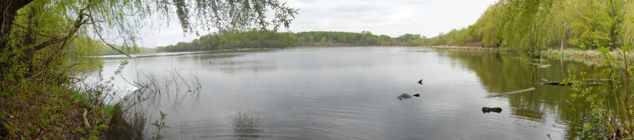 Credit: HGA Architects and Engineers Empire Lake is considered the heart and jewel of the new Whitetail Woods Regional Park in Dakota County.