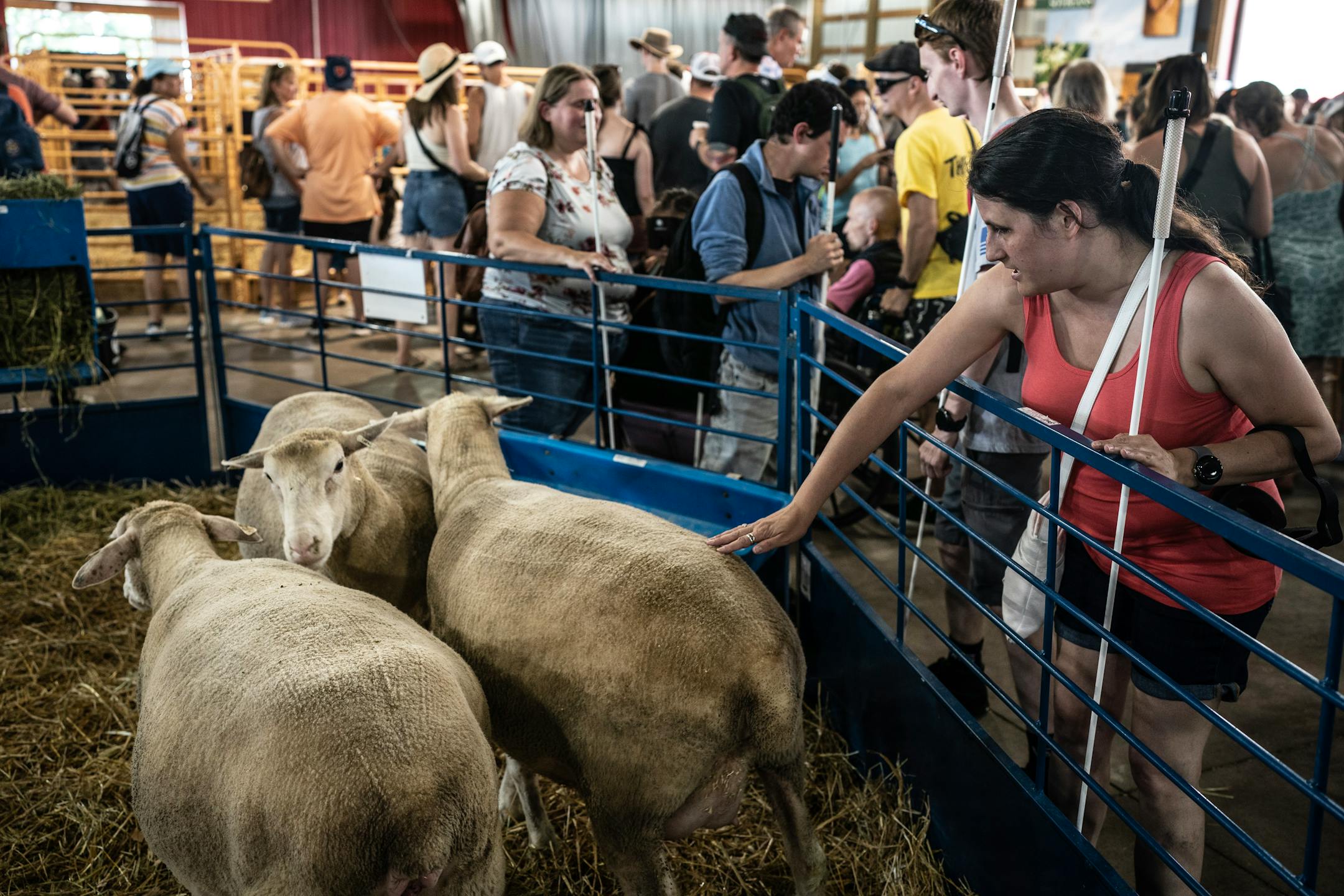 Chelsey Duranleau, Assistant Director BLIND, Inc. says "the smell of farm animals or hay could tell us that we are near the horses". She touched a lamb in the Miracle of Birth Center. Smells of beer, farm animals, french fries, mini donuts and more help them navigate the fair.