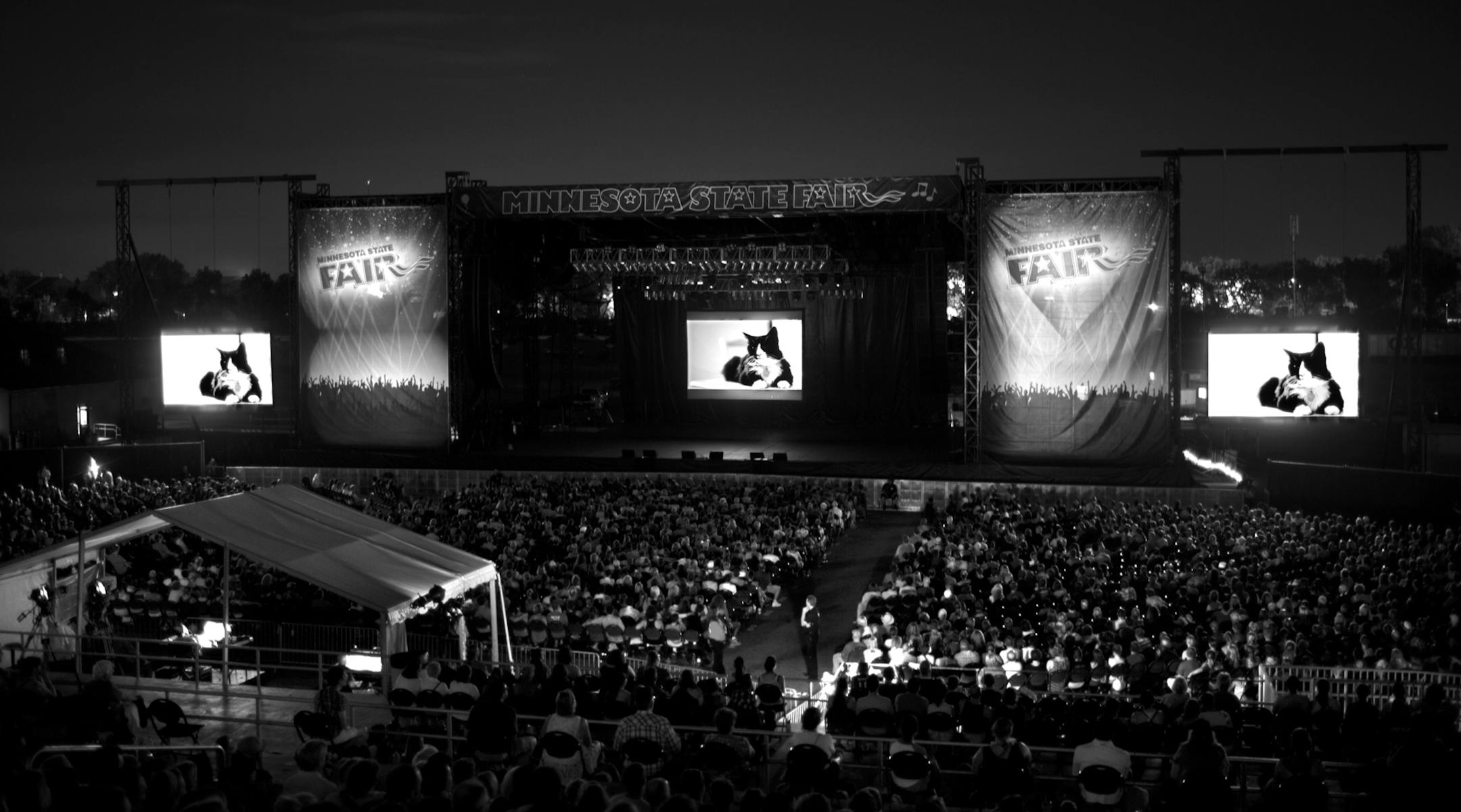 The Walker Art Center held their 2013 Internet Cat Video Festival at the Grandstand at the Minnesota State Fair Wednesday night, August 28, 2013 in Falcon Heights. This composite image shows one of the most popular videos from last year that earned a repeat appearance in this year's festival. ] JEFF WHEELER &#x201a;&#xc4;&#xf6;&#x221a;&#xd1;&#xac;&#xa2; jeff.wheeler@startribune.com ORG XMIT: MIN1308282155468246