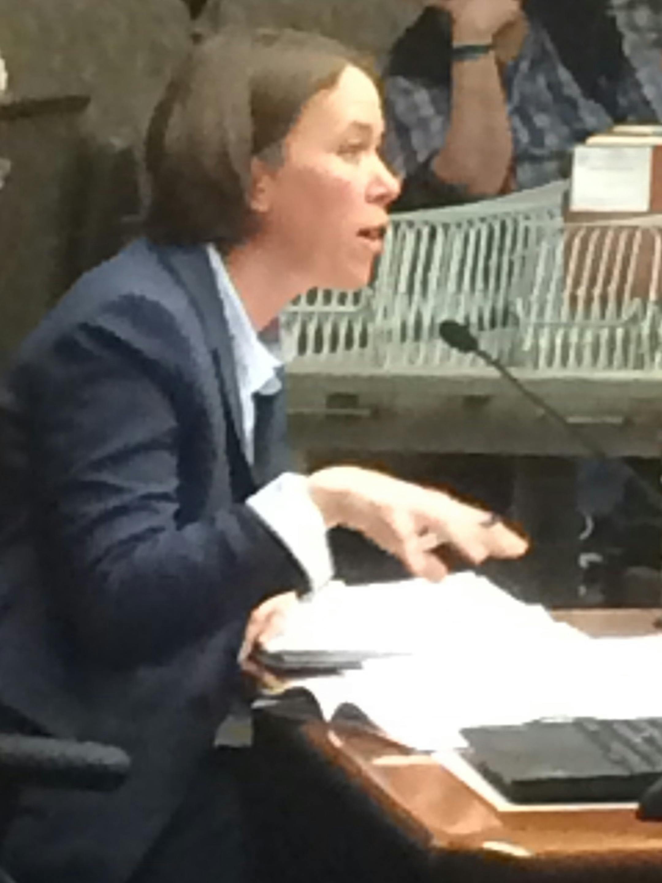 Assistant DHS Commissioner Claire Wilson