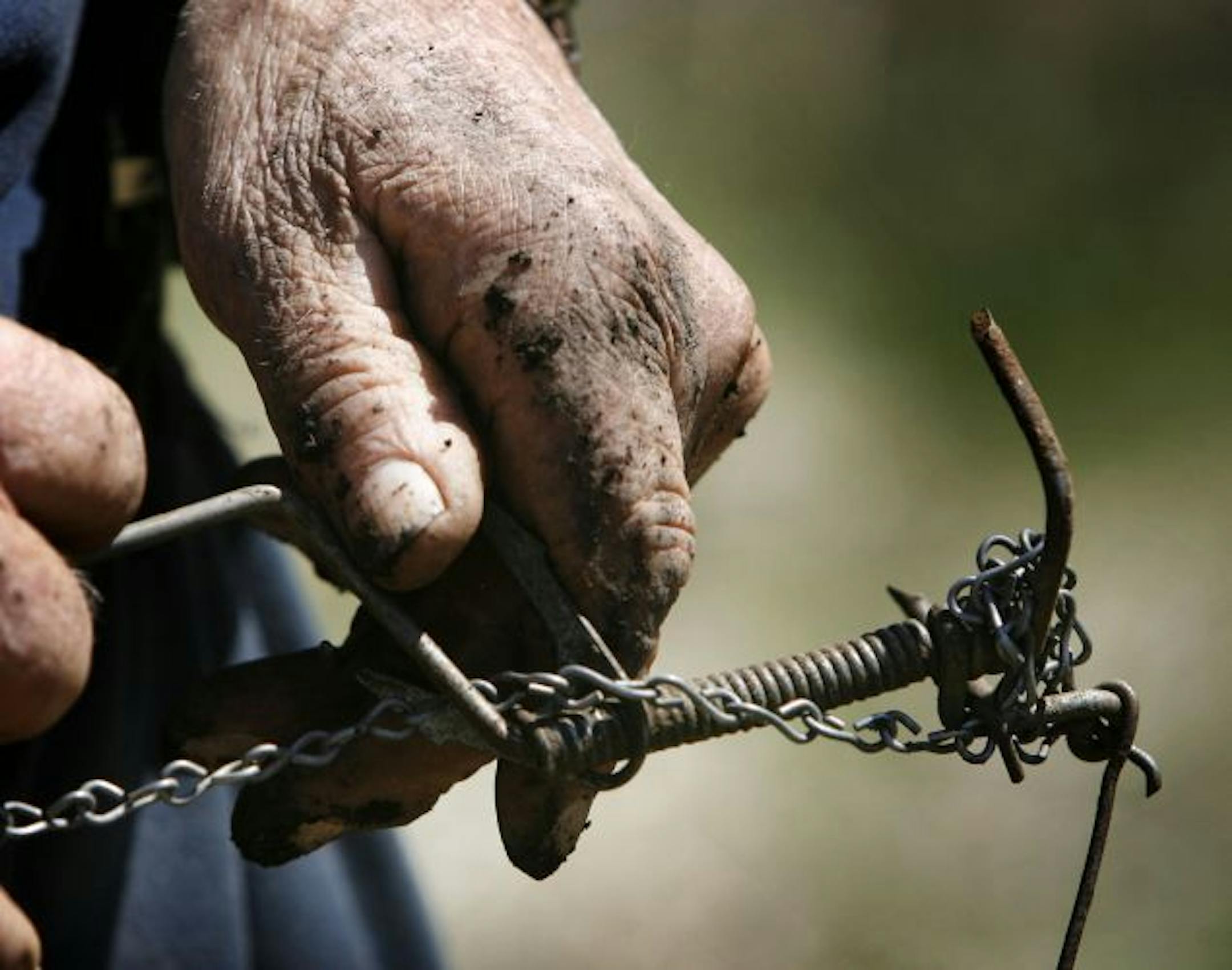 Bert Arkman used traps to catch "something like 47" gophers last year at Bill Voedisch's farm.