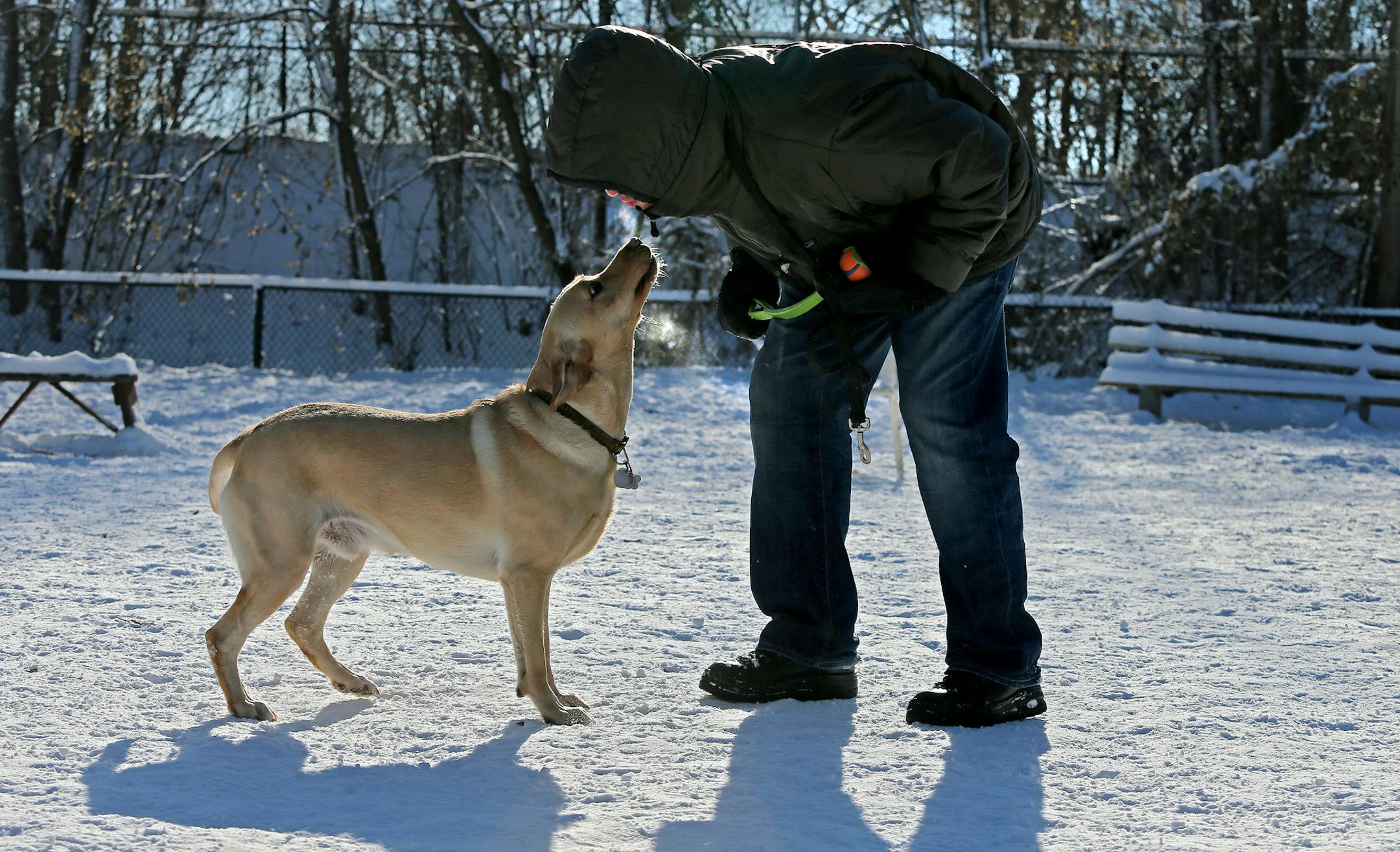 Brian Hackler braved the bitter cold to play with his dog "Hank," at Lake of the Isles dog park, Friday, November 6, 2013. (ELIZABETH FLORES/STAR TRIBUNE) ELIZABETH FLORES • eflores@startribune.com