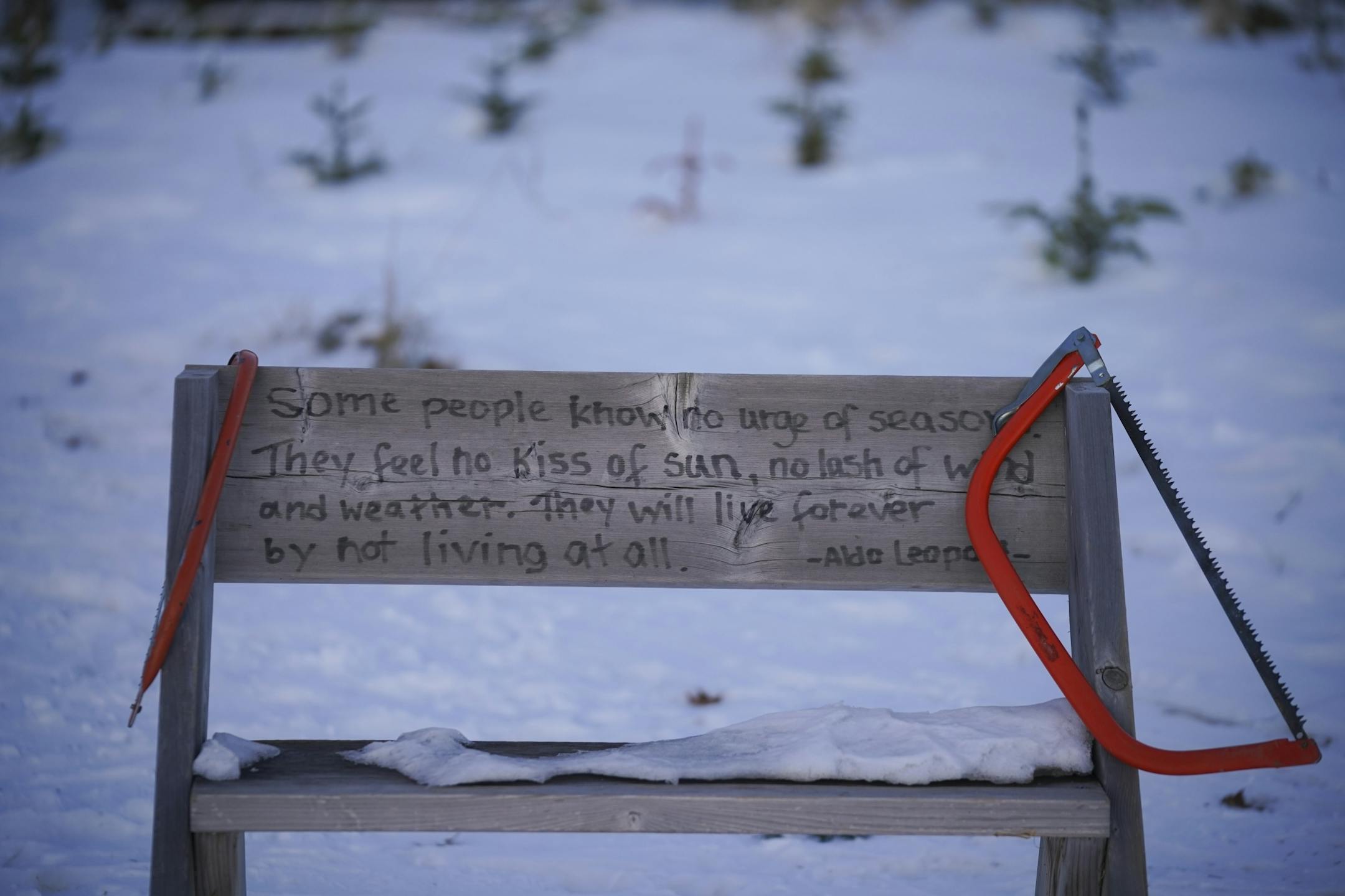 A quote from conservationist Aldo Leopold on a bench in the field where customers can cut their own Christmas trees.