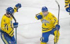 St. Cloud Cathedral defenseman Nate Warner, celebrating a goal in the 2019 state tournament, is one of seven players committed to the Gophers who'll p