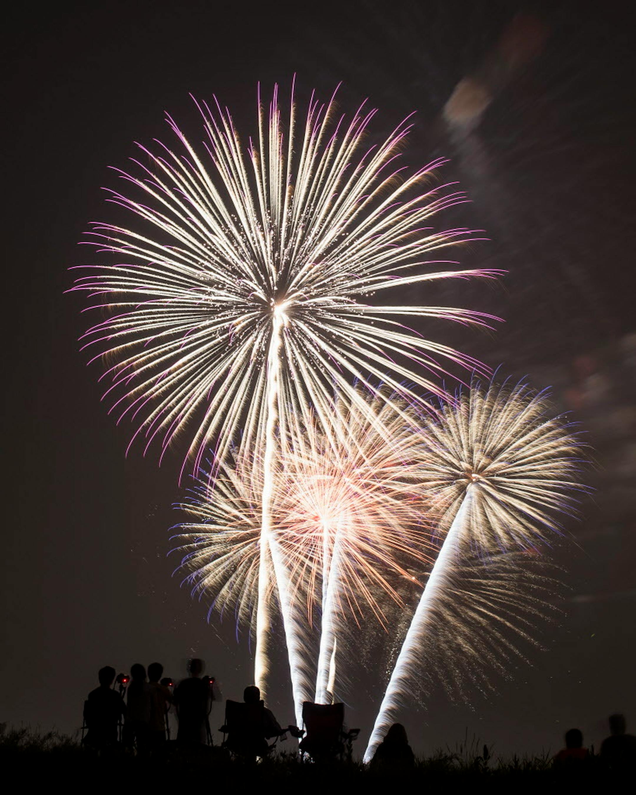 Fireworks capped off a night of festivities at Summer Fete at Normandale Lake Park in Bloomington on Friday night.