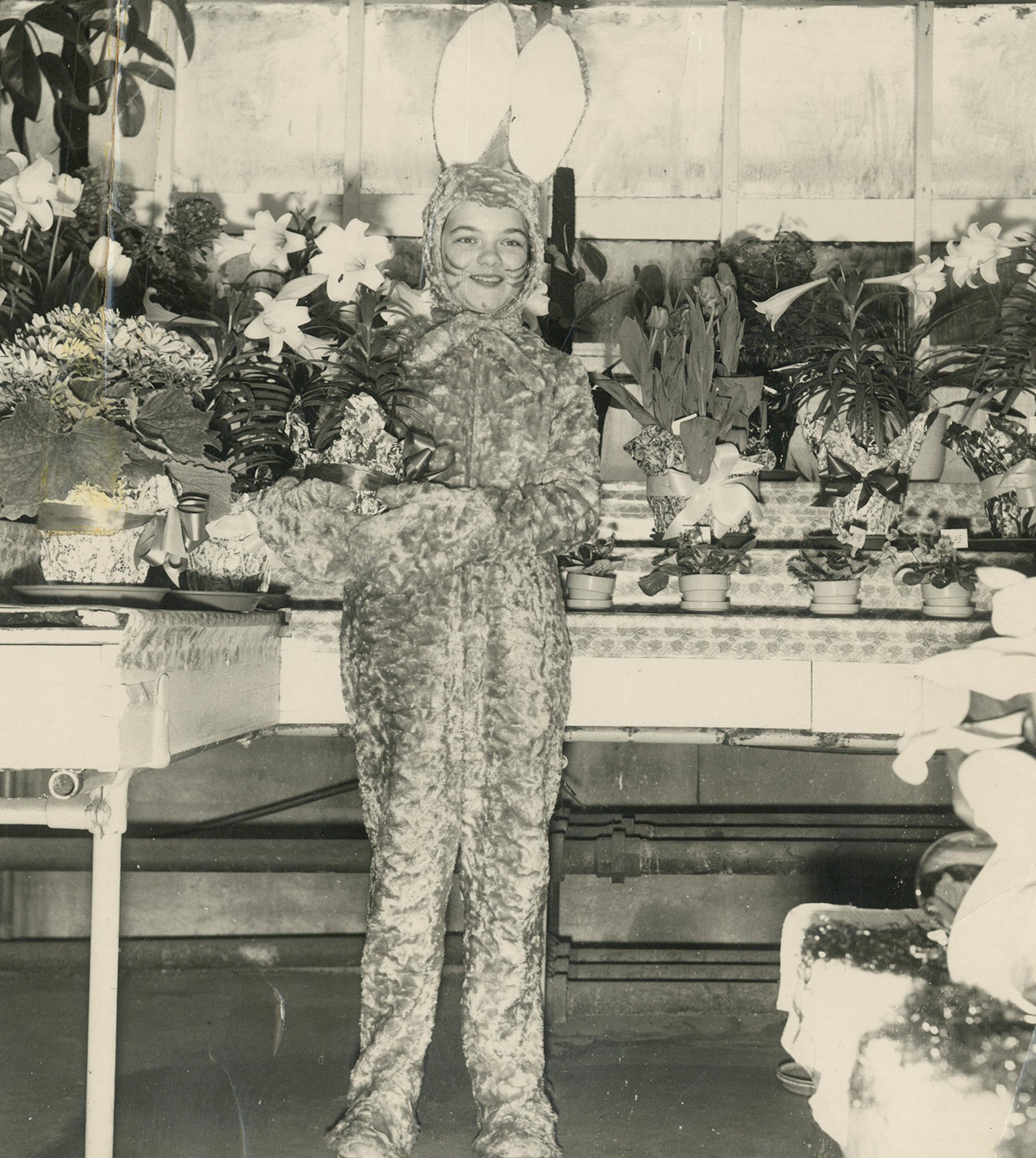 Diane Glynn, New Brighton: My parents owned a floral shop and greenhouse in Alexandria. For several years in the 1950s, I was required to wear the &#xec;bunny suit&#xee; sewn by my grandmother. Despite the smiling photo, I was not very happy about this duty. I was glad to hand the job over to my younger brother once I had &#xec;grown out&#xee; of it and he had &#xec;grown into it.&#xee; [focus041617