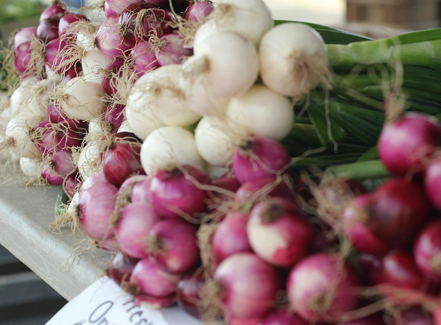 The Maple Grove Farmers Market continues on Feb. 9 and is seeking vendors for its season running June 8 to Oct. 19.