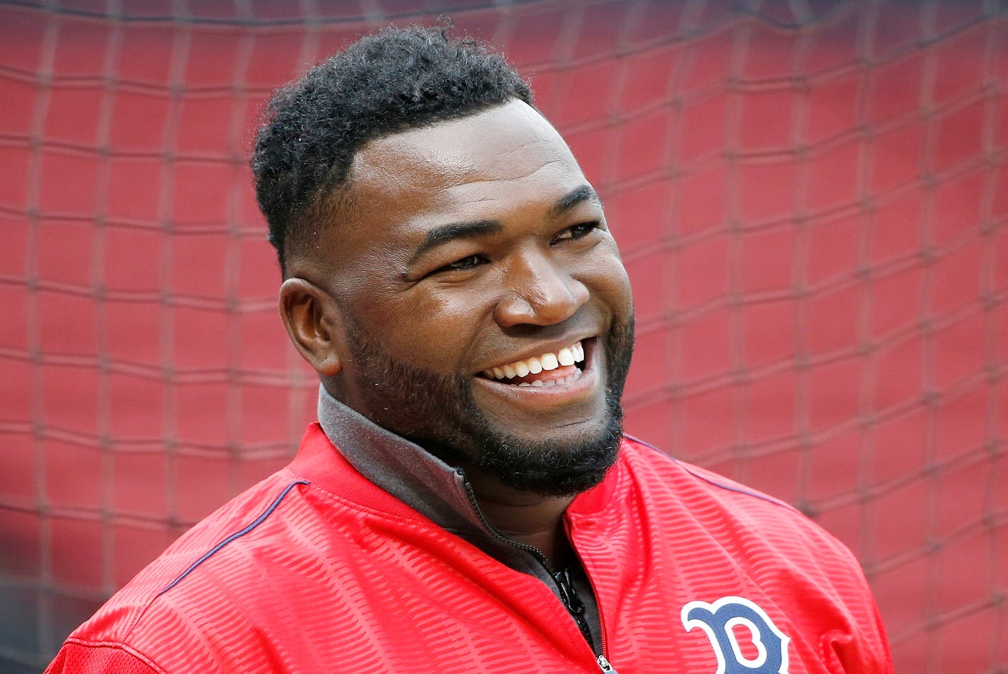 David Ortiz, in 2016.