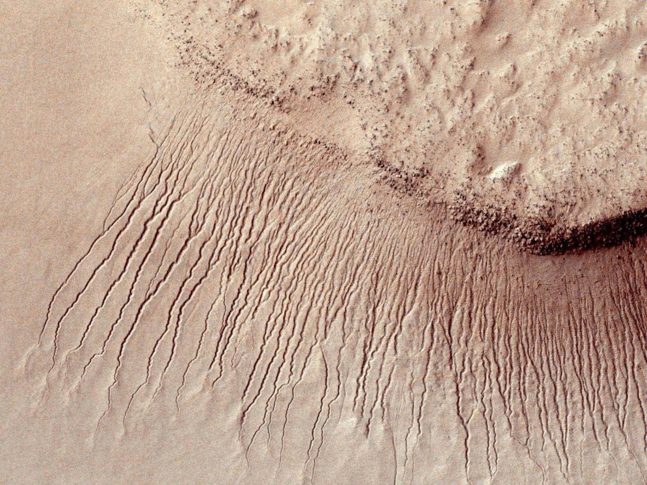 In an undated handout photo, portions of the Martian surface shot by NASA's Mars Reconnaissance Orbiter show many channels on a scarp in the Hellas impact basin. Scientists reported on Monday definitive signs of liquid water on the surface of present-day Mars, a finding that will fuel speculation that life, if it ever arose there, could persist to now. (Jet Propulsion Laboratory/University of Arizona/NASA) -- NO SALES; FOR EDITORIAL USE ONLY WITH STORY SLUGGED MARS WATER BY KENNETH CHANG. ALL OT