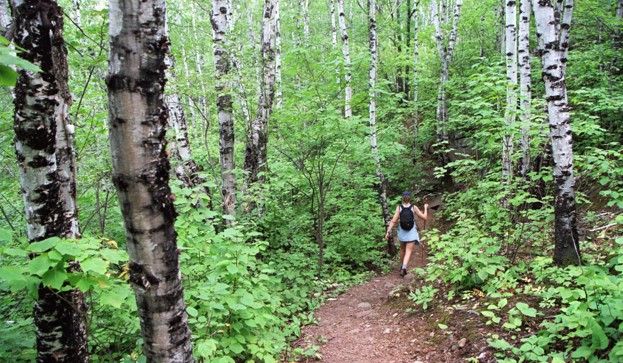 A hike along the Superior Hiking trail on Minnesota's North Shore provides hikers with a palette of blues and greens in the summer, reds and golds in autumn.