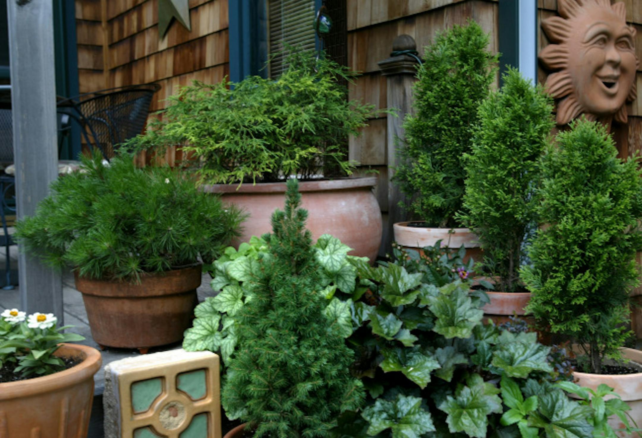 Bob Sauer built stone walls rock by rock and established a 1-acre garden that include a conifer collection, dozens of hostas and daylillies that he hybridizes himself. Bob has accented his garden with a large sculpture.