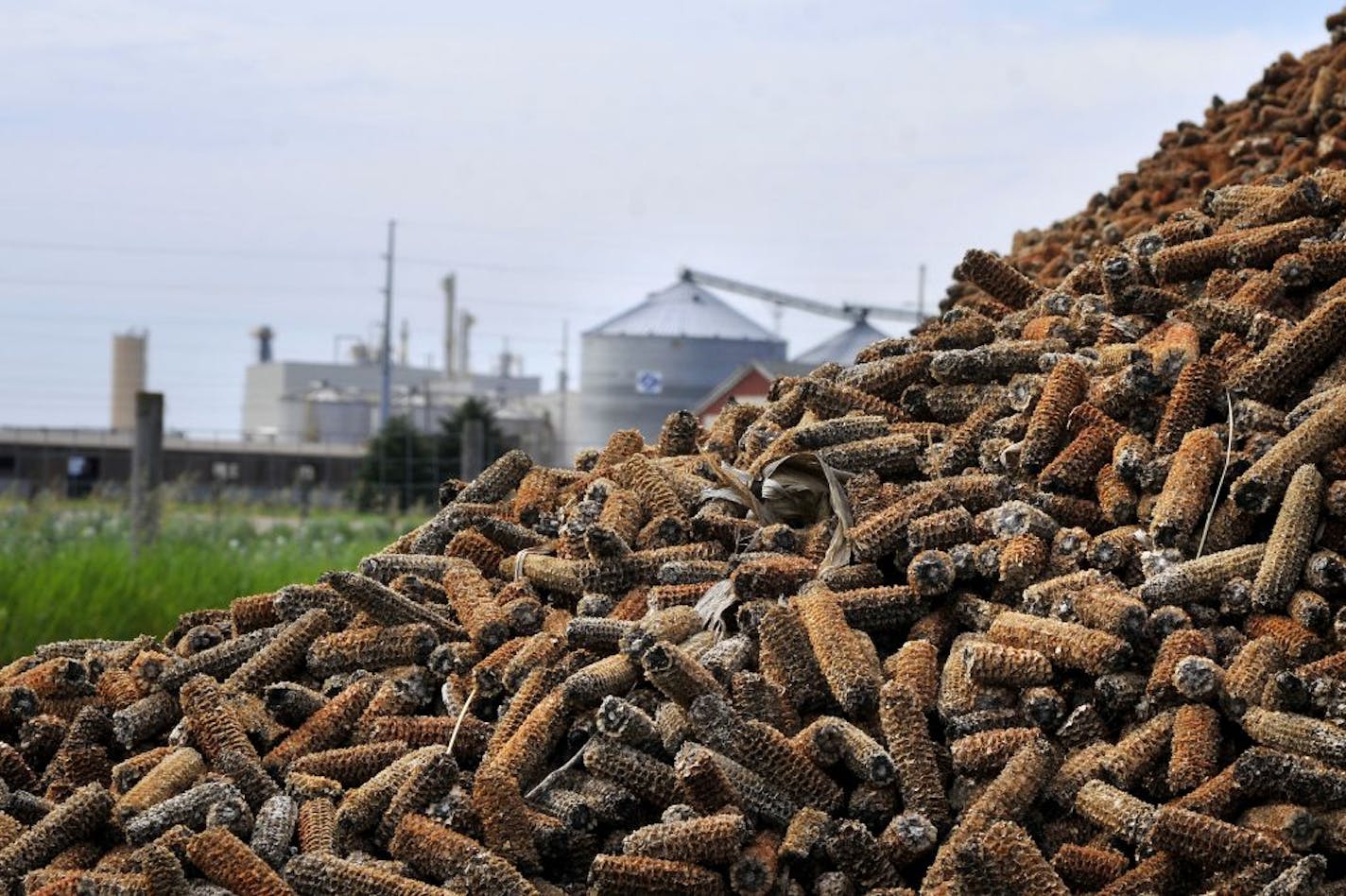 Chippewa Valley Ethanol Company general manager Bill Lee intends to gasify corn cobs to help to power his Benson Minnesota ethanol plant. Right now they gasify wood chips to supplement the expensive natural gas now used in the process.