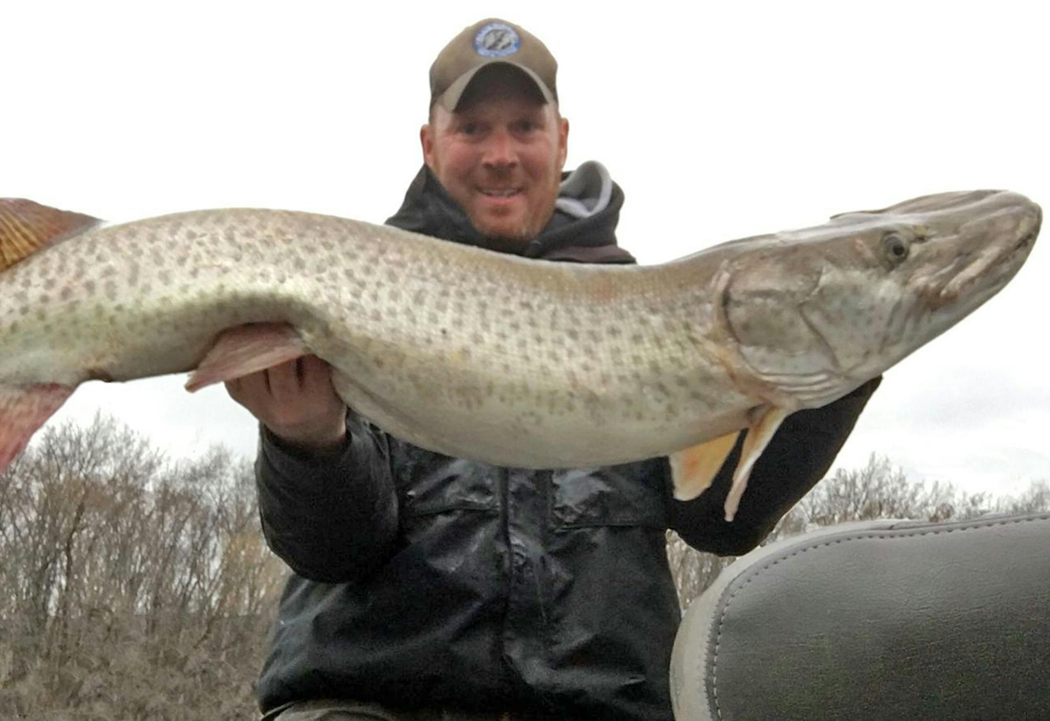 Guide Josh Stevenson caught the biggest metro muskie of his life last fall, a 54-incher. Muskies have been active in recent weeks, as they typically are in fall.