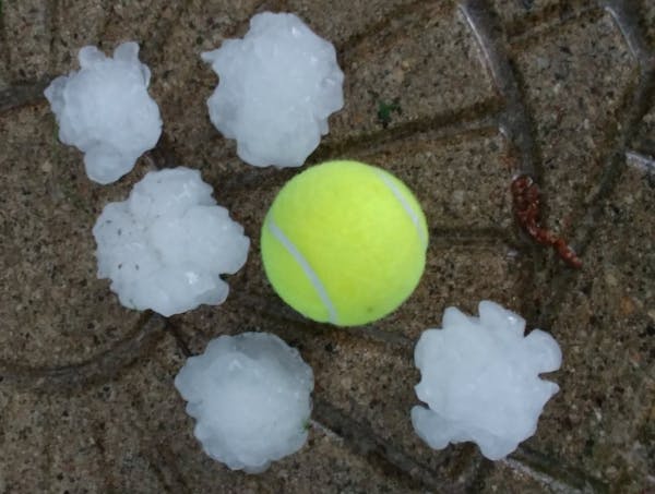 Photo courtesy of Dan Giesen: The National Weather Service in Chanhassen shared this photo of tennis-ball-sized hail during Tuesday night's storm. It 