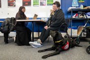 Lambeau, a mobility assistance dog from Can Do Canines, lays next to Nora Guerin’s walker as she chats with Sahra Ahmed, 18, at Edison High School i