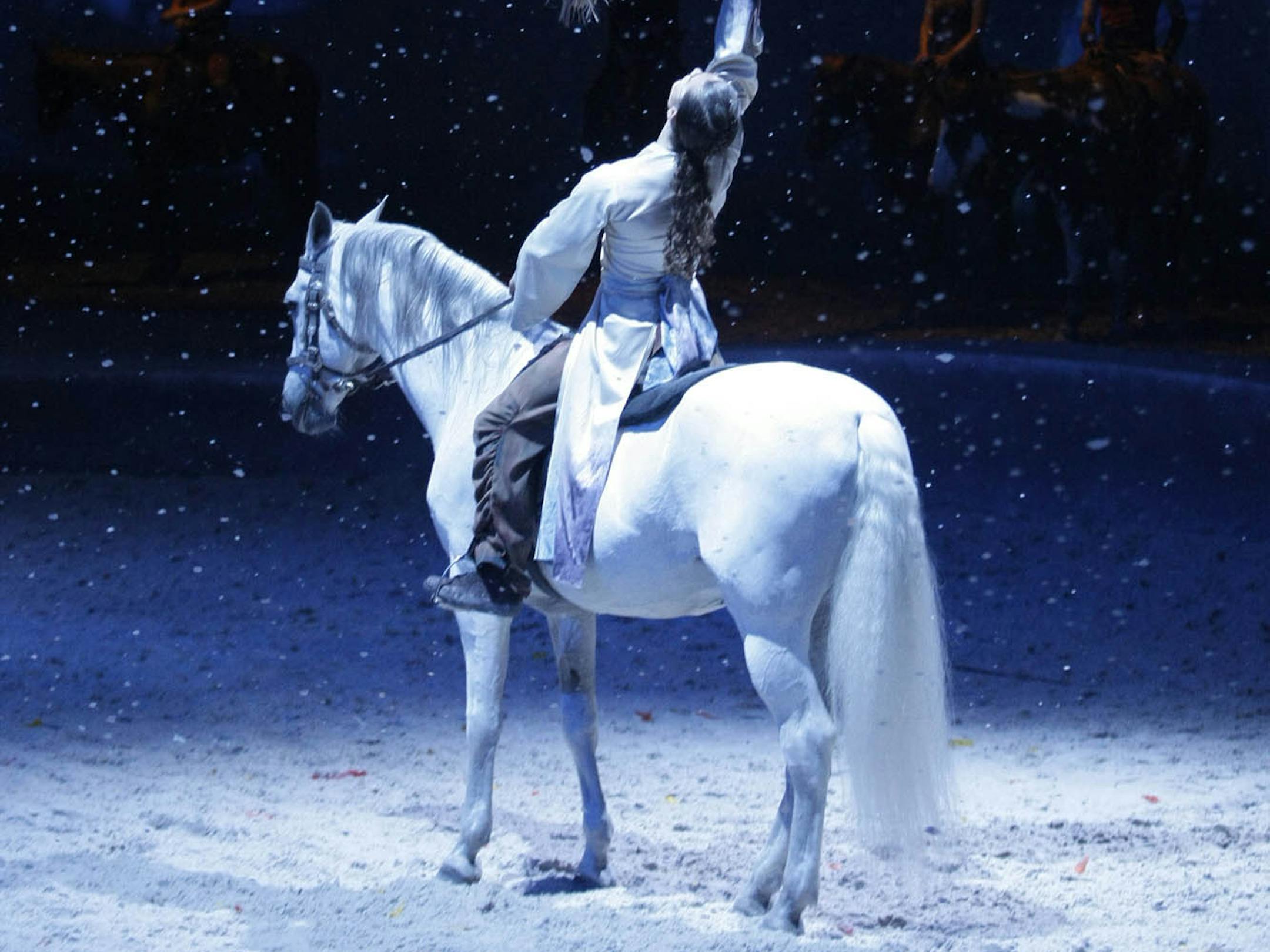 "Cavalia"