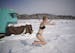 Ingrid Aune was ready to cool down after baking in the 200 degree heat of Nickolai Koivunen's MinneSauna on the ice of Lake Harriet as part of the Art