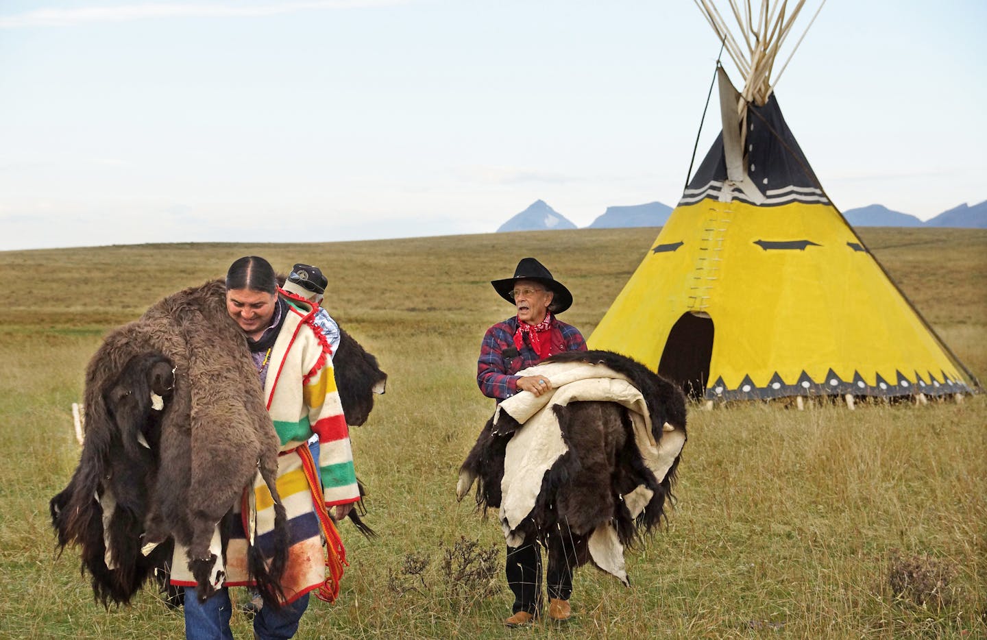 In September, 14 Native American tribes gathered on the grassy plains east of Glacier National Park in northern Montana to sign a treaty on joining forces to bring back bison the Indian reservation land. These teepees were erected by members of the Blackfeet tribe. Tribal members gathered buffalo robes to lay on the ground during prayers and ceremonial singing before the signing of the treaty. ] Credit: Josephine Marcotty - Star Tribune