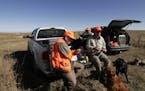 Doug Smith/Star Tribune; Oct. 20, 2011; North-central South Dakota. Lunch break on the prairie is part of the allure of a South Dakota pheasant hunt. 