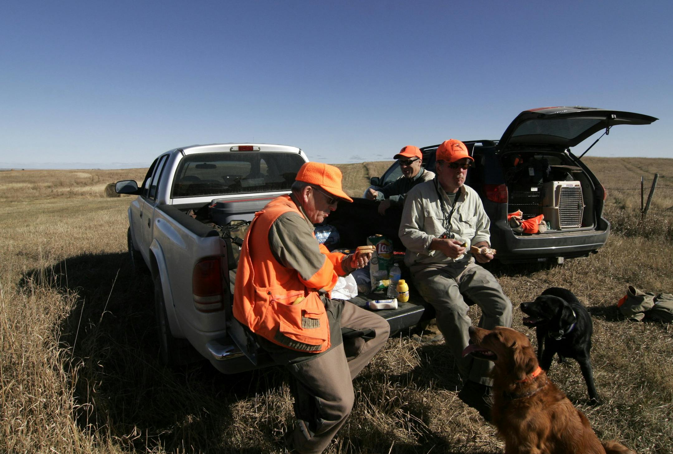 Doug Smith/Star Tribune; Oct. 20, 2011; North-central South Dakota. Lunch break on the prairie is part of the allure of a South Dakota pheasant hunt. From left to right are Mike Smith of Cologne, Minn., Mike Porter of Minneapolis and Tim McMullen of Delano. Hunting dogs Bo and Louie wait for scraps.
