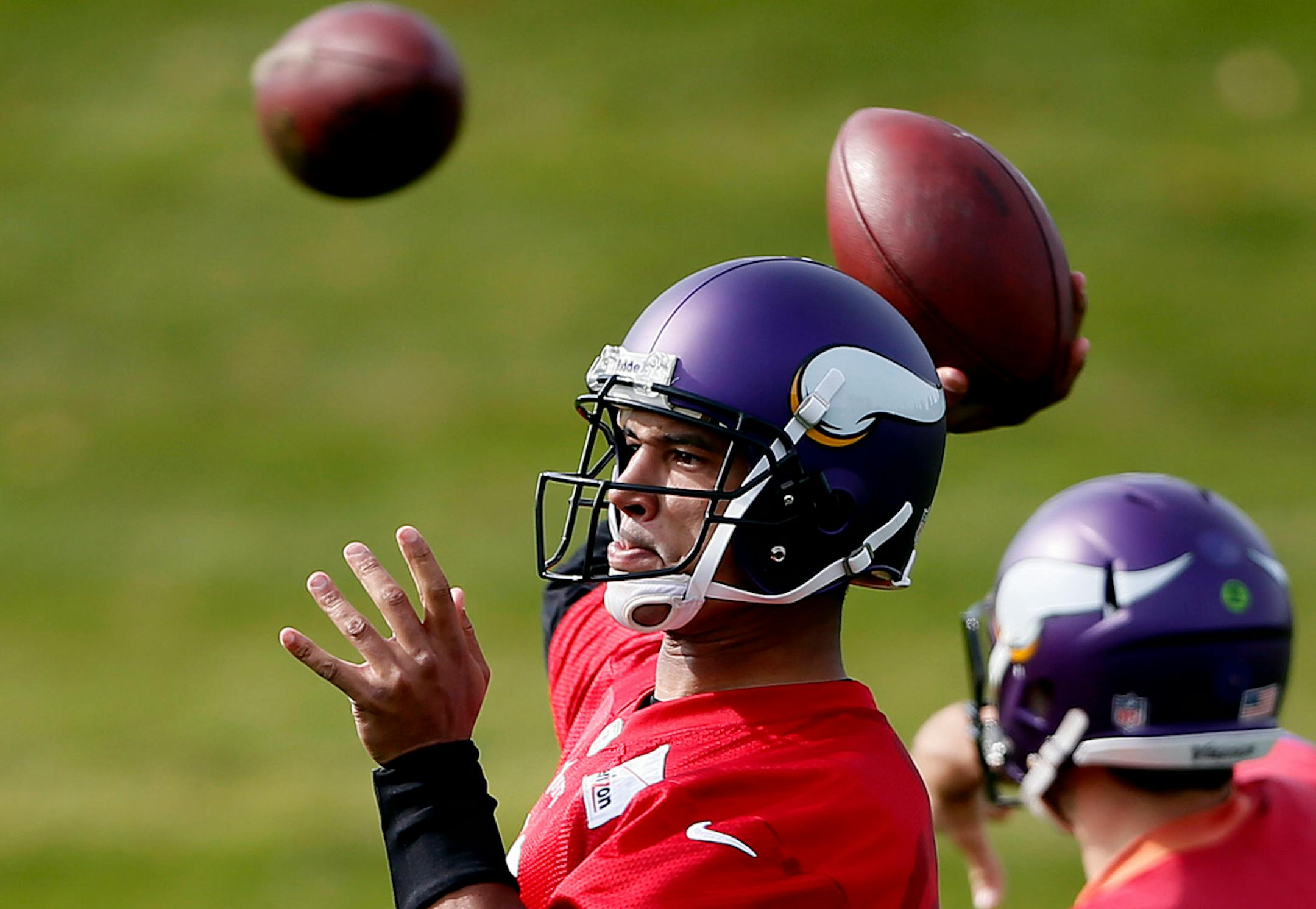 Minnesota Vikings quarterback Josh Freeman