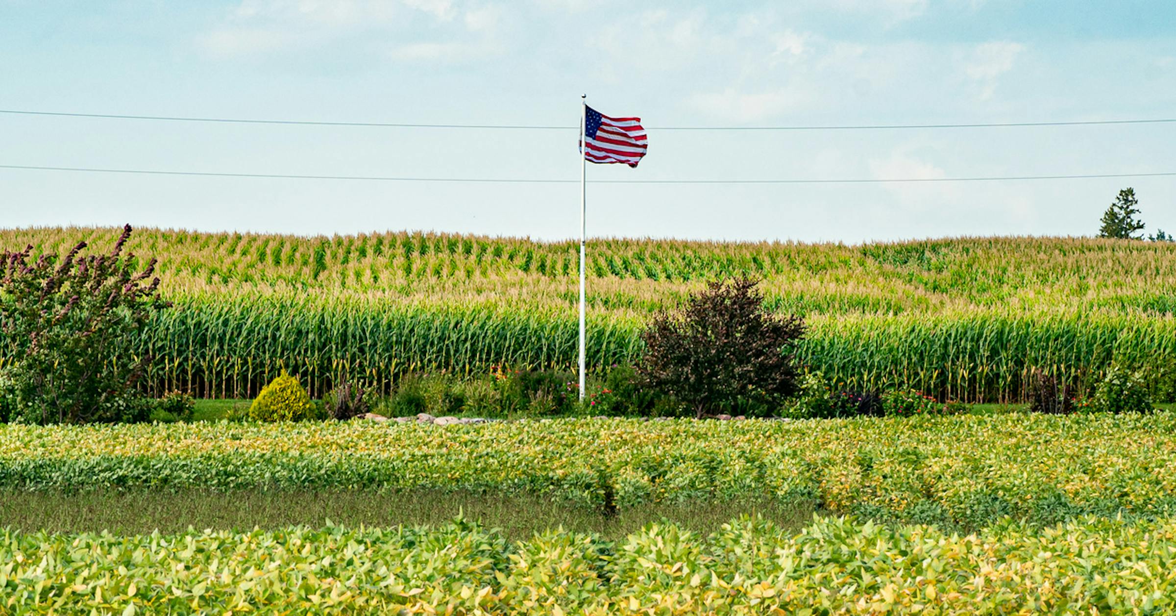 Counterpoint: The real story of Minnesota's parts is that of a greater ...
