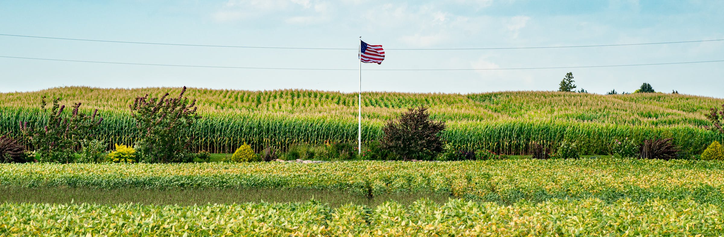 Counterpoint: The real story of Minnesota's parts is that of a greater ...