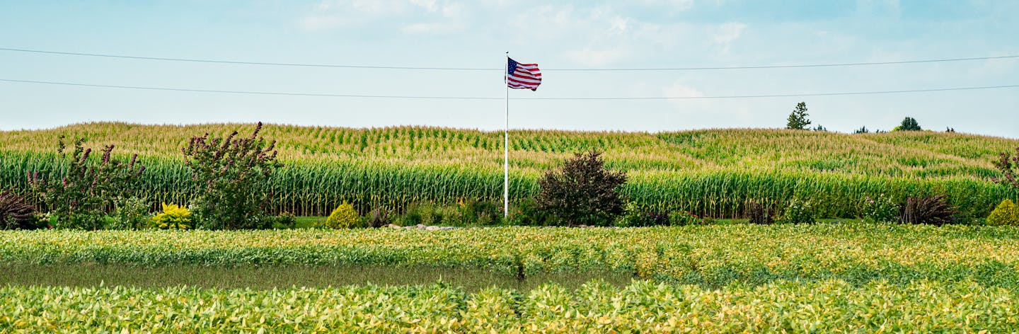 Soybeans and corn are edging closed to harvest, as green turns to gold. These fields are near the city of Nicollet in Nicollet County, Minn. ] GLEN STUBBE &#x2022; glen.stubbe@startribune.com Wednesday, September 18, 2019 Nicollet County is one of 19 "pivot counties" in Minnesota (and 206 nationwide) that in presidential elections voted Obama, Obama, Trump. In 2018, it was one of seven in the state that flipped back to Democrats in races for U.S. House and Senate and governor, and if the preside