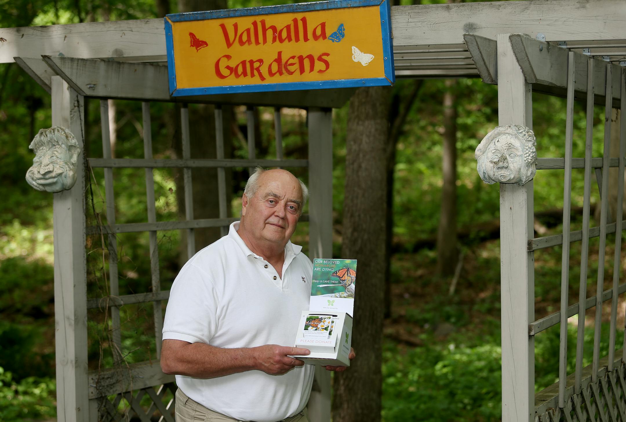 Ward Johnson set himself to work on strengthening the dwindling monarch butterfly population by planting milkweed and by encouraging others to do so. Ward Johnson started "The Save Our Monarchs Foundation". ] JOELKOYAMA‚Ä¢jkoyama@startribune Edina, MN on June 2, 2014.