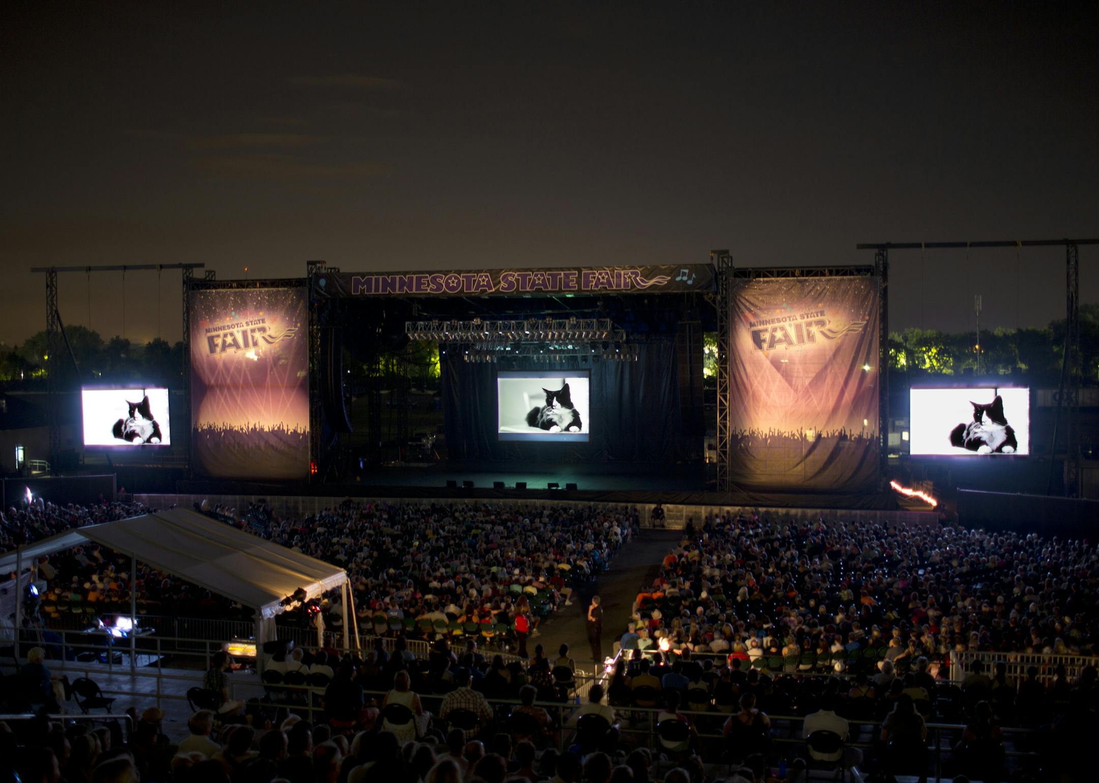 The Walker Art Center held their 2013 Internet Cat Video Festival at the Grandstand at the Minnesota State Fair Wednesday night, August 28, 2013 in Falcon Heights. This composite image shows one of the most popular videos from last year that earned a repeat appearance in this year's festival. ] JEFF WHEELER &#x201a;&#xc4;&#xa2; jeff.wheeler@startribune.com