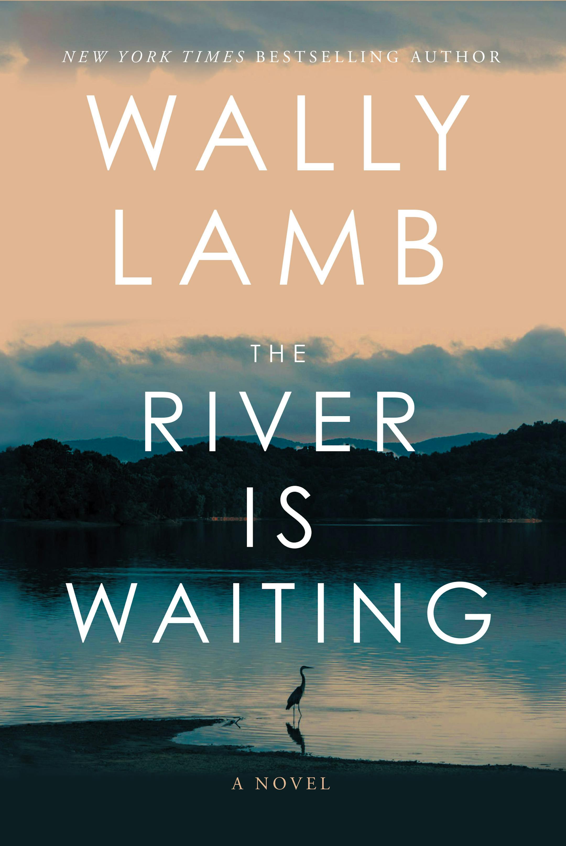 cover of The River Is Waiting features a nighttime photo of a bird, wading in a river, with hills and a stormy sky in the background