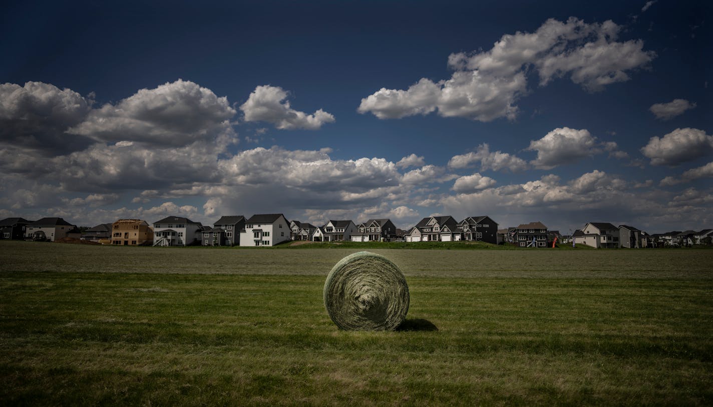 The newly constructed Legacy of North Star development sits in the background of a 30 acres hay field at Schiltgen Farms in Lake Elmo, Minn., on Thursday , June 2, 2022.