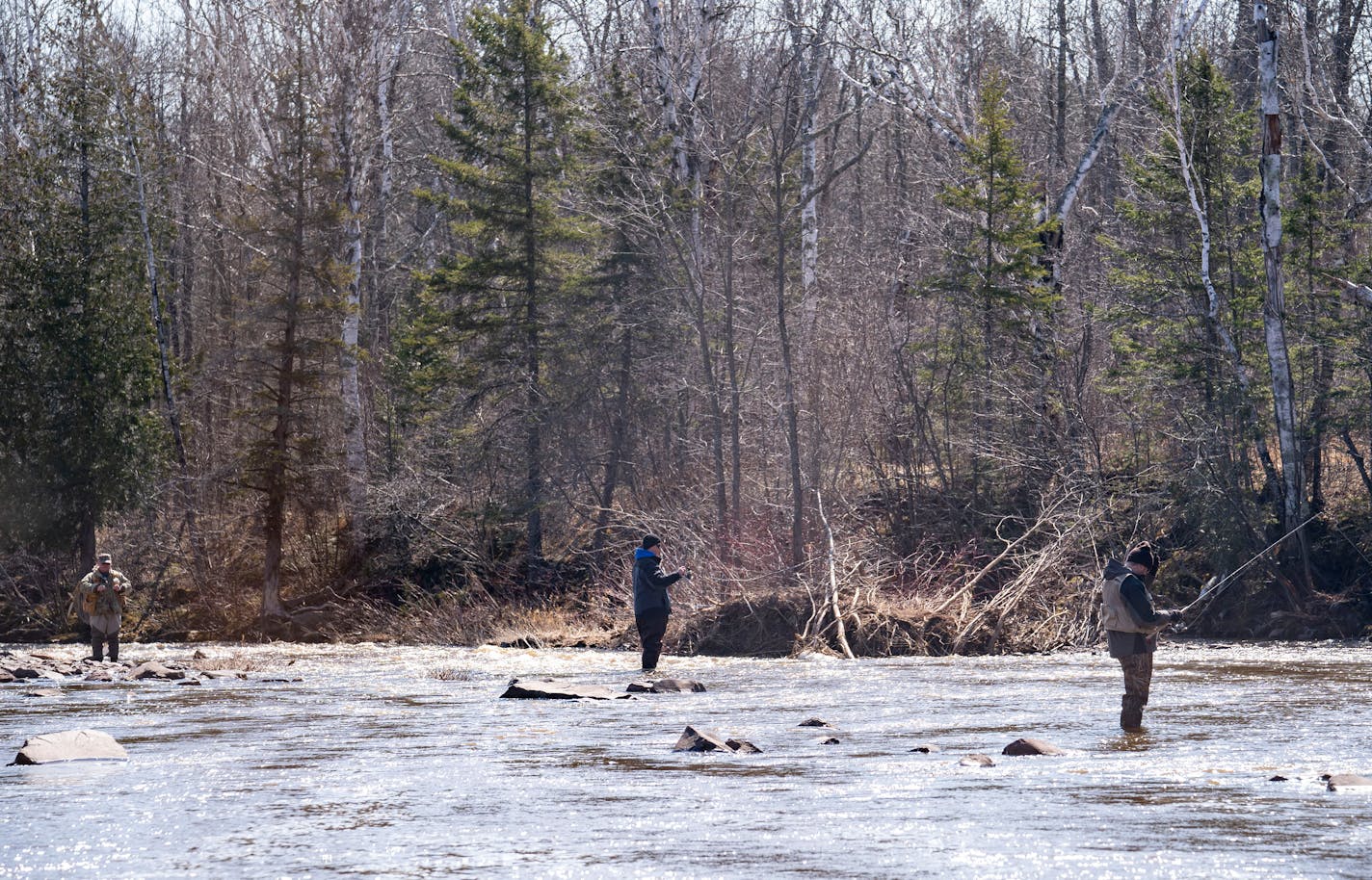 Fishermen practiced social distancing while angling for steelhead trout in the Knife River on April 23, 2020. ]