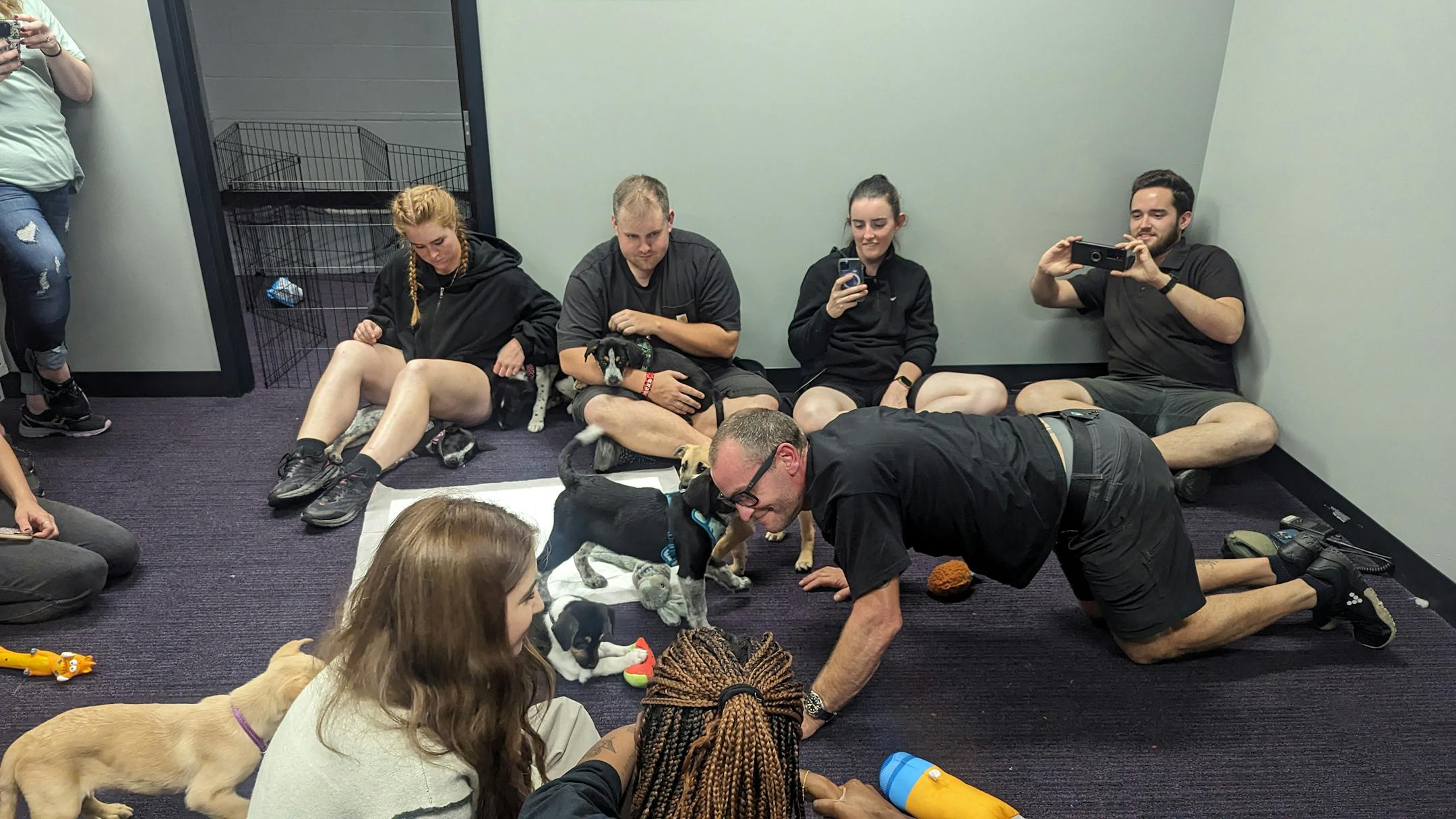 A Minnesota animal rescue group got an unusual request from crew members in town for Ed Sheeran's concert Saturday at U.S. Bank Stadium. They wanted to play with puppies. The concert workers sent a message to Princeton-based Ruff Start Rescue asking the non-profit if it could help put together a puppy party to help crew members relax before the concert.