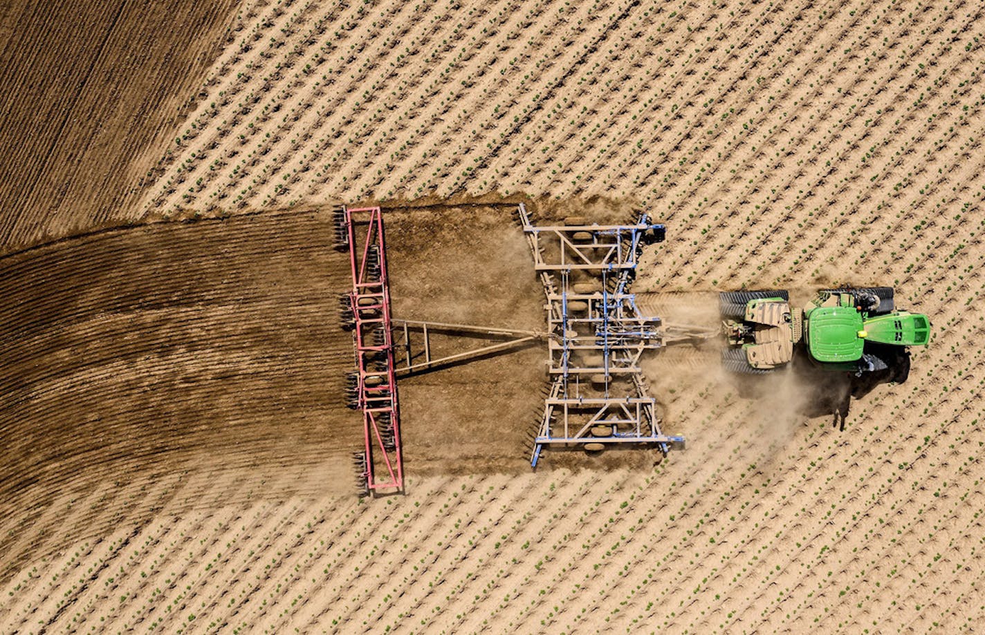 A worker plows under 240 acres of young potatoes farmed by Mike Pink near Pasco on Friday, May 1, 2020. Pink has never plowed under any food he has grown.