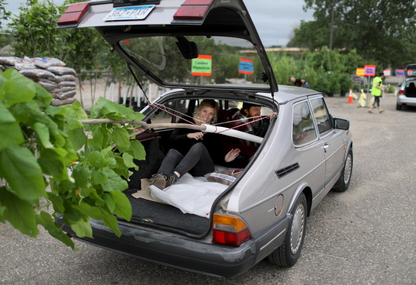 With the passenger seat and much of the back taken up by their new northern catalpa tree, partners Anders Erickson, driver's seat, and Signa Weise, rear, head for home to plant in their South Minneapolis yard Saturday, June 6, at the Minneapolis impound lot. Hundreds of people picked up trees as part of Tree Trust's annual Minneapolis tree lottery.