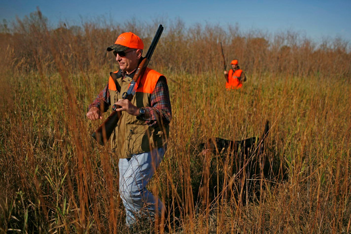 Gov. Mark Dayton hunts in Lac Qui Parle Saturday morning. IT is the first governors pheasant opener. ] David Denney ddenney@startribune.com STAR TRIBUNE 5OCT2011 Minneapolis, MN ORG XMIT: MIN2015021613410442