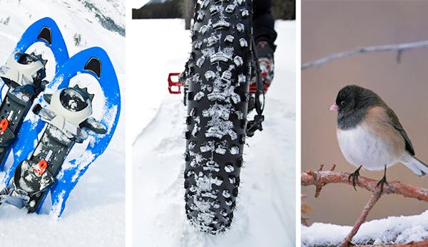 Snowshoeing, fat biking, birding are among the many winter activities through February and into March.