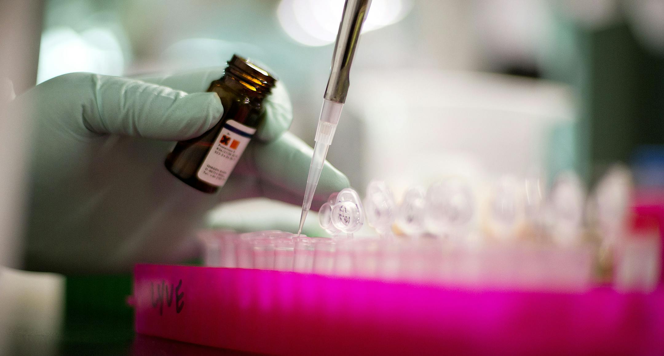 Microbiologist Ashley Sabol extracts Listeria bacteria for genome sequencing in a foodborne disease outbreak lab at the federal Centers for Disease Control and Prevention, Monday, Nov. 25, 2013, in Atlanta. (AP Photo/David Goldman)