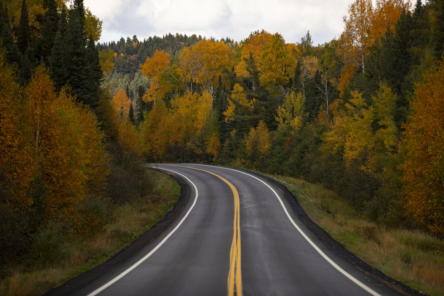 The fall colors were near their their peak along the Gunflint Trail near Grand Marais on Sept. 27. A strong summer has translated to a busy fall for North Shore destinations, and winter is looking promising as well. ALEX KORMANN • alex.kormann@startribune.com