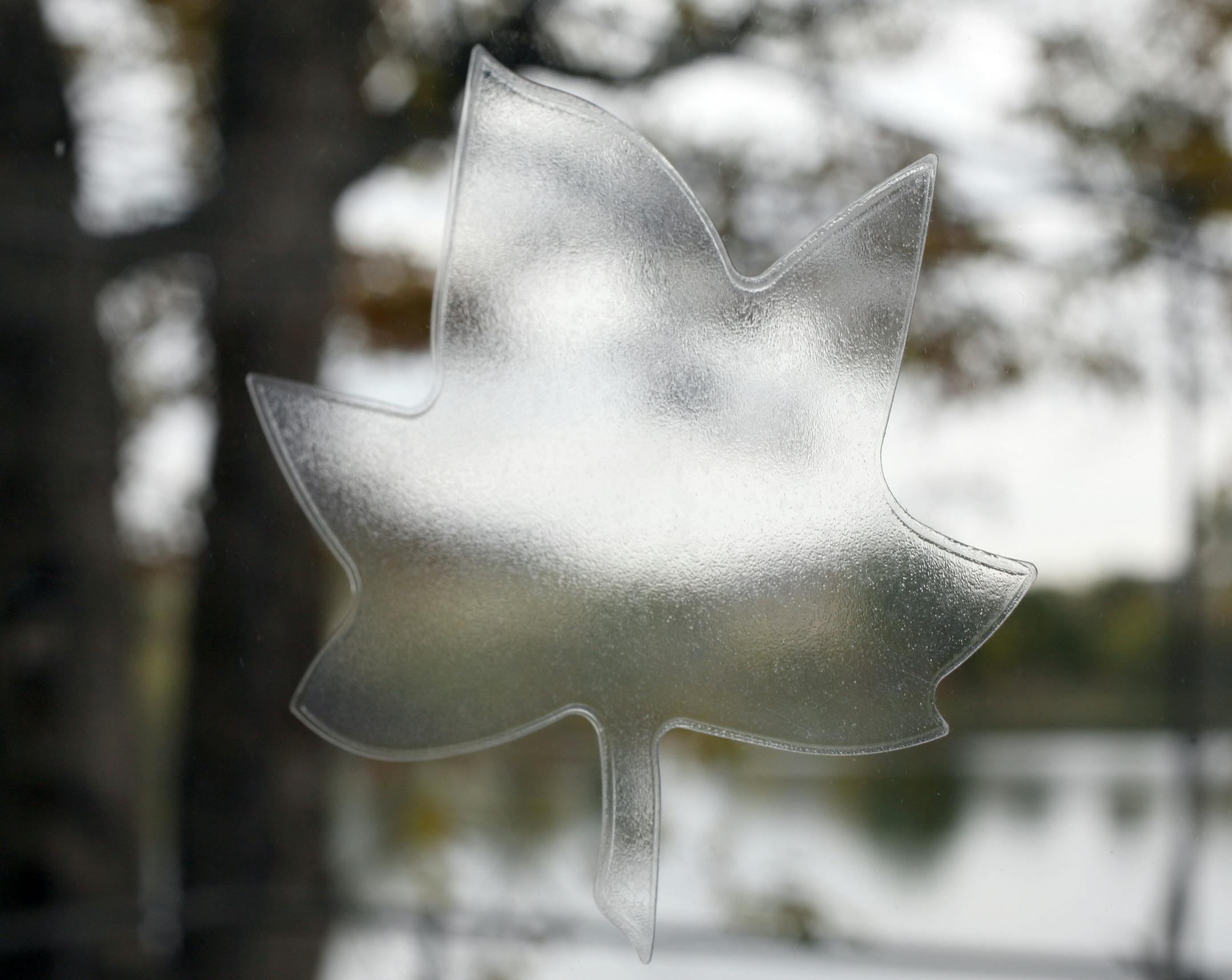 Decals on the windows help distract the birds. It‚Äôs all about "birdsafe architecture," and designing a home to reduce bird fatalities. Bill Lutz and Julie Brophy bought their house because they loved all the glass, then started hearing "thunks" and finding dead birds. With almost a daily occurrence the couple took action and retrofitted their home with several items to help distract the birds. [ TOM WALLACE ‚Ä¢ twallace@startribune.com _ Assignment #20020315A_