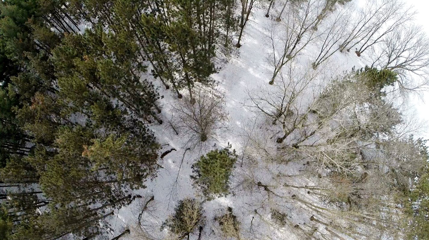 The view from a drone over woods near Stillwater. ] BRIAN PETERSON &#x201a;&#xc4;&#xa2; brian.peterson@startribune.com Stillwater, MN 2/14/2014